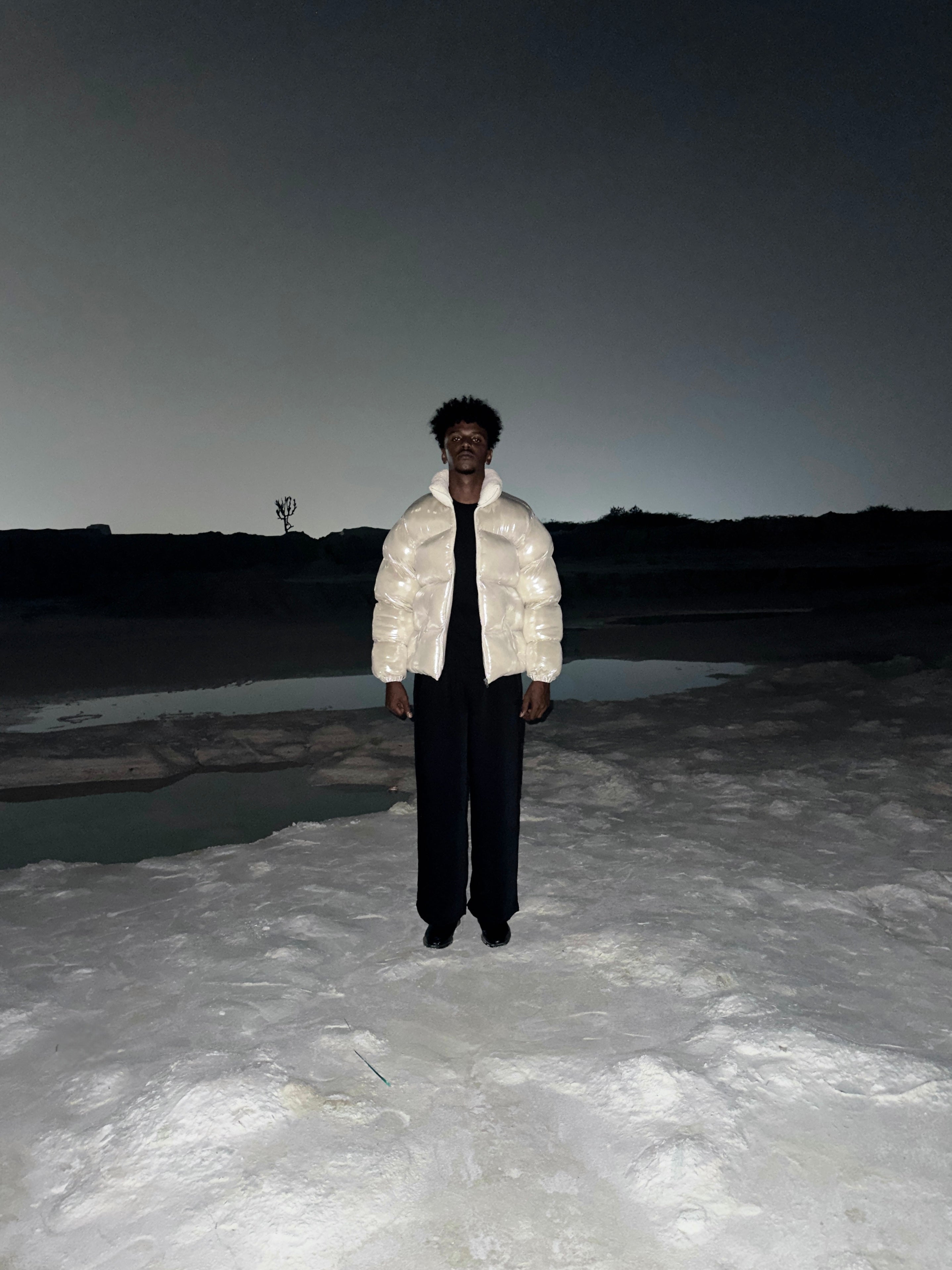 Silver-Fat Carp Puffer Jacket