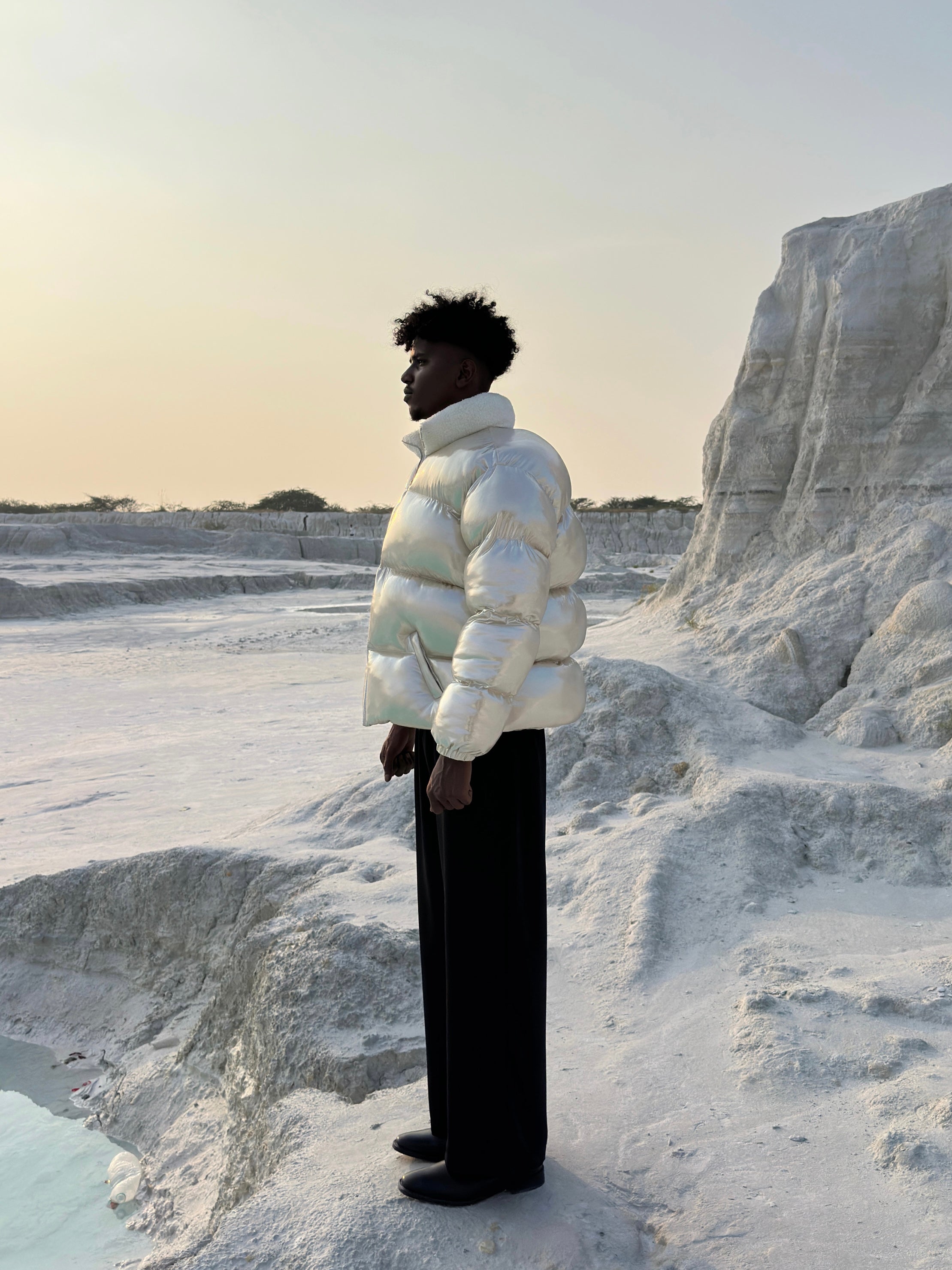 Silver-Fat Carp Puffer Jacket