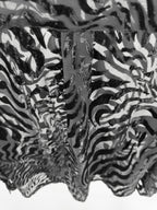 Devore` Arcan-Zebra Shirt
