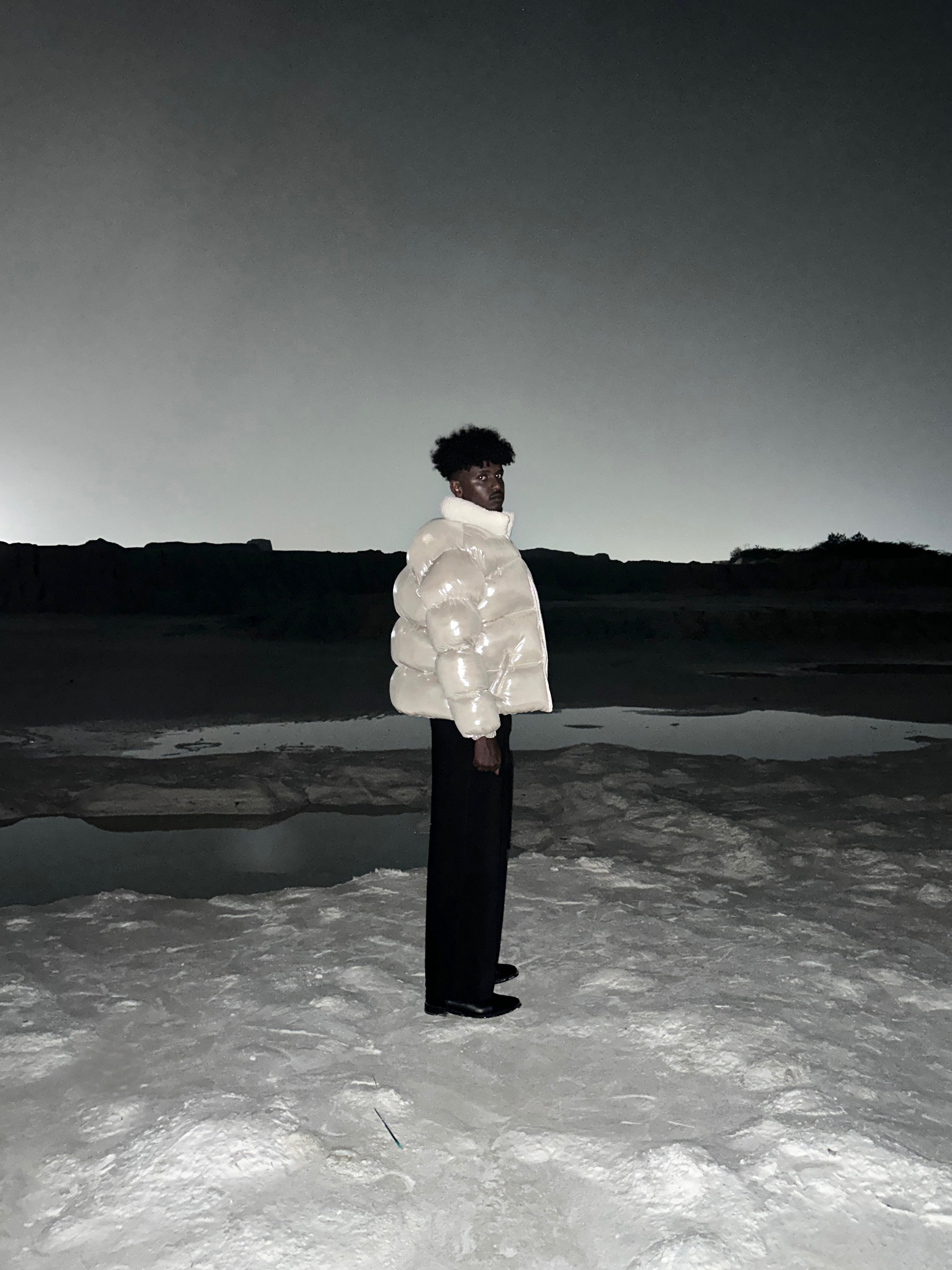 Silver-Fat Carp Puffer Jacket